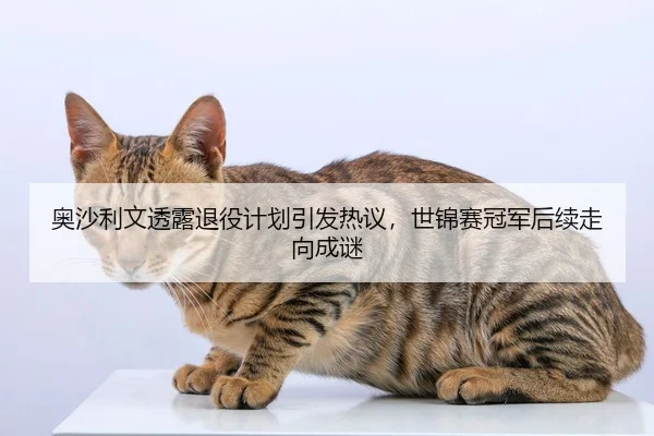 奥沙利文透露退役计划引发热议，世锦赛冠军后续走向成谜