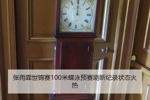 张雨霏世锦赛100米蝶泳预赛刷新纪录状态火热
