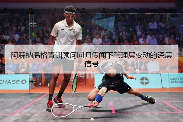 a-sen-na-wen-ge-qing-xun-gu-wen-hui-gui-chuan-wen-xia-guan-li-ceng-bian-dong-de-shen-ceng-xin-hao-2-114.jpg
